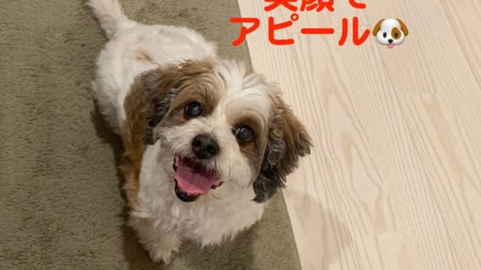 誕生日ステーキ！
