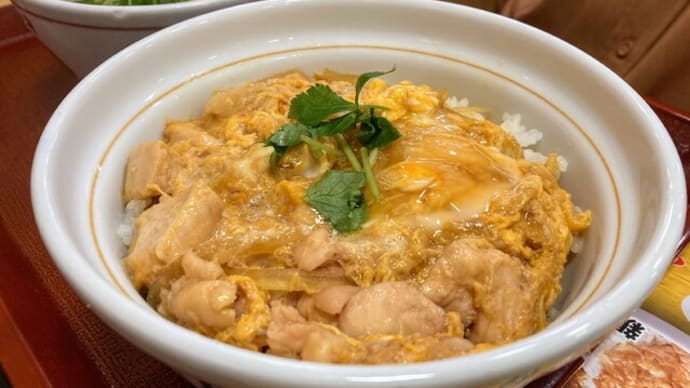 週末の丼メシ|丼ぶりと京風うどん『なか卯』の食べある記(2017年5月~2024年1月)