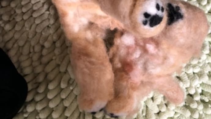 今日もまだ…