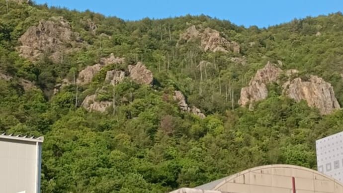 個人講習 岩場技術講習(各務原アルプス 芥見権現山)