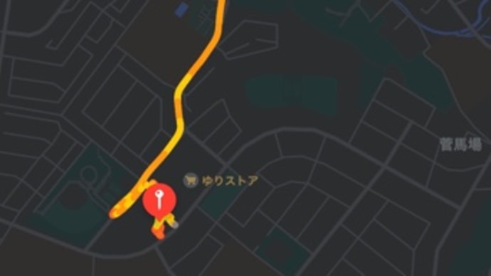 かわさきマスターズ(フリーリレー)