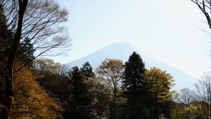 春の富士山へ