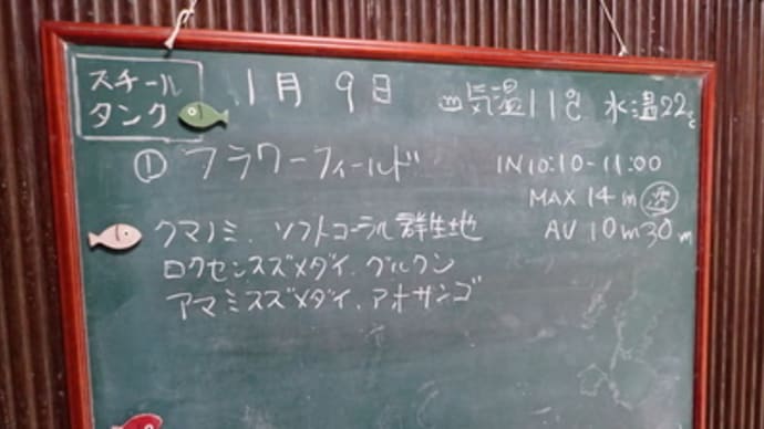 本日のダイビングログ