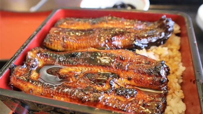 成田市、錦谷でうなぎを食べました。