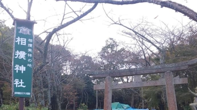思い出フォト 10 相撲道