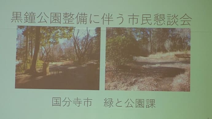 黒鐘公園整備の市民懇談会✌(2/10)