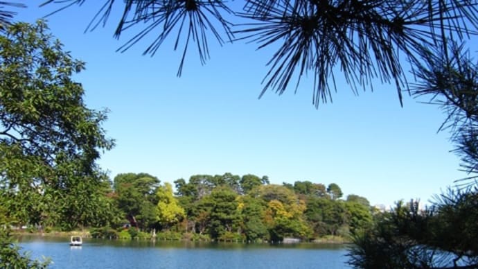 東京公園巡り 洗足池公園(改訂版)