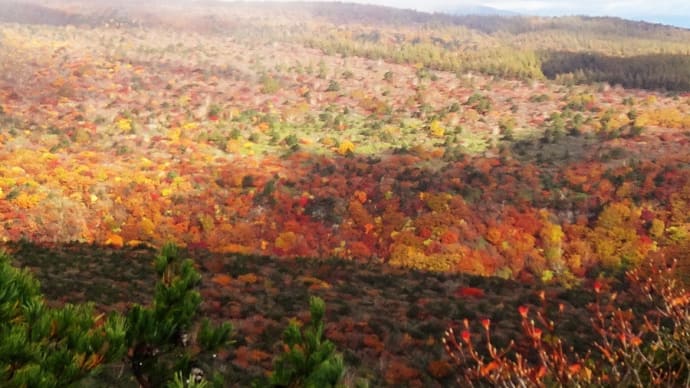 ほんとの空~安達太良山の紅葉は(1)
