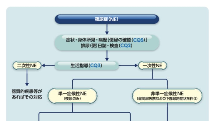 小児夜尿症診療アップデート2024