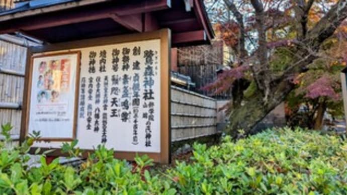 【鷺森神社(さぎのもりじんじゃ)】『ウオーキング』“紅葉狩り” 京都市