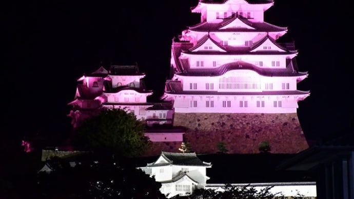 今日の姫路城 ピンク色 (2018.10.1)