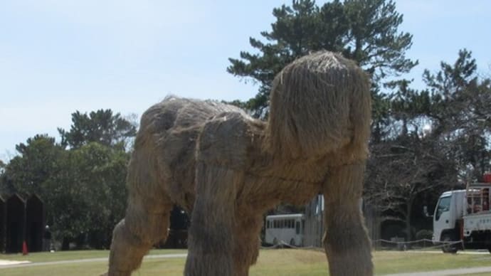 ときわ公園の思い出
