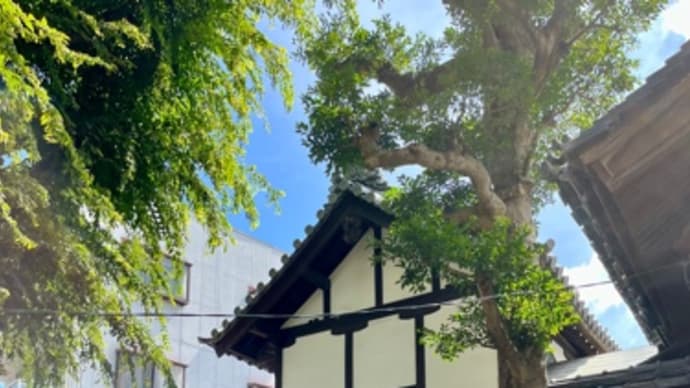 天赦日、神吉日だった29日は、