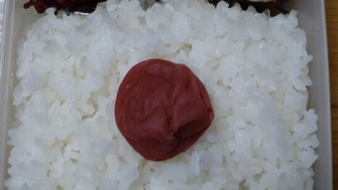 おばちゃんお弁当\(^o^)/ 2022/08/09とその前