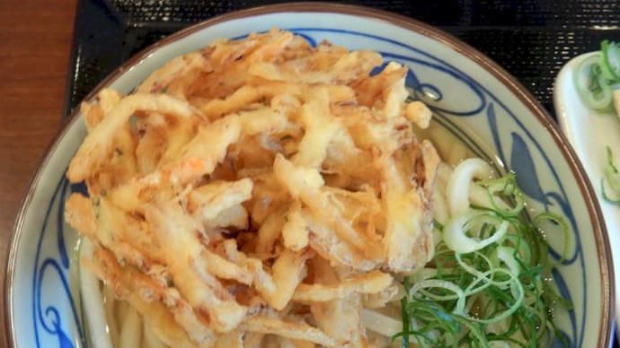 丸亀製麺　横浜栄店　[栄区]　/　かけうどん(大) + 野菜かき揚げ