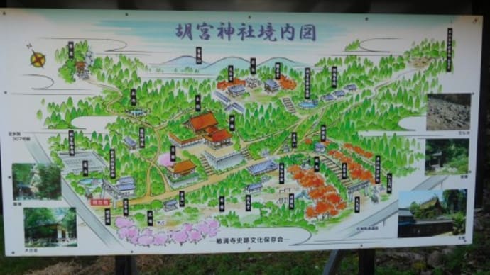 青龍山・胡宮の磐座