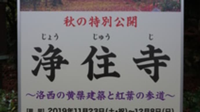 12月8日まで「京都秋の特別公開」。洛西の黄檗建築と紅葉の「浄住寺」へ