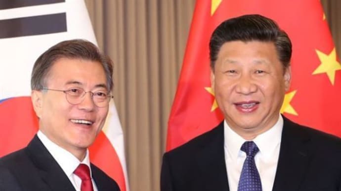 '지나(支那)의 조직적 여론조작' 차이나 게이트 제보 받아보니…신개념 댓글조작 수법까지 '충격'
