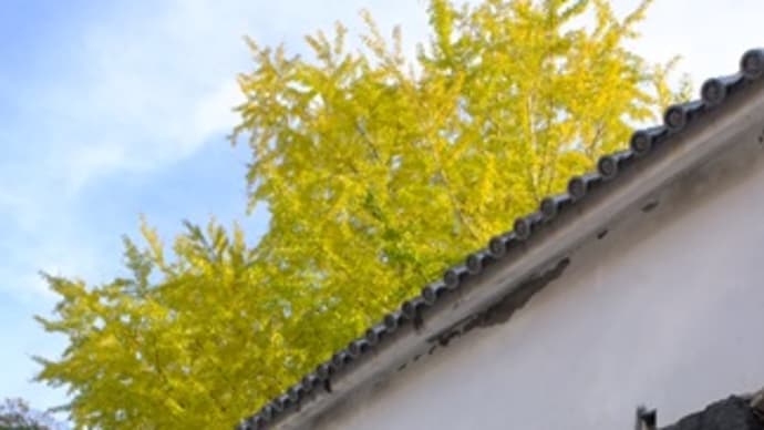 福岡城　堀石垣