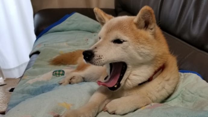 クリンへの想いは尽きなくて・・・40