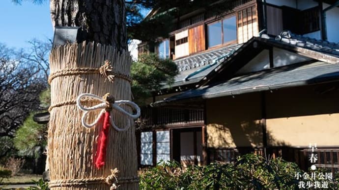 小金井公園、早春。