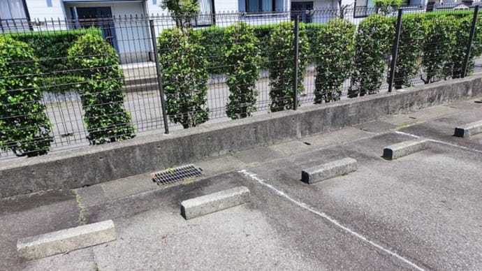 【駐車場】草取り実施...後日 除草剤散布予定