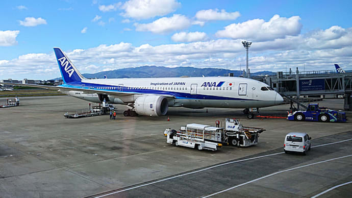 ゴージャス東京旅 緊急事態明け 久しぶりに空の旅!
