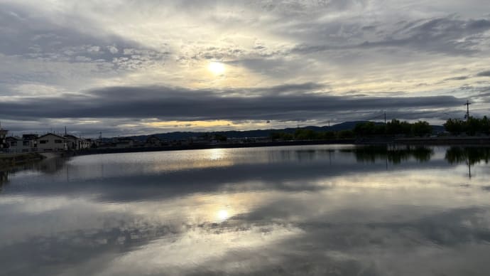 夕方散歩