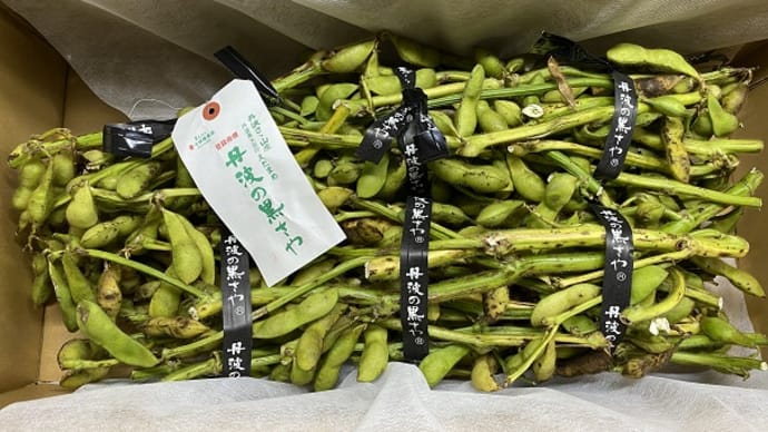 シーズン最後に枝豆界のラスボス登場