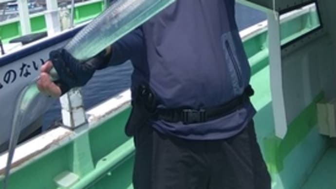 ショートタチウオ