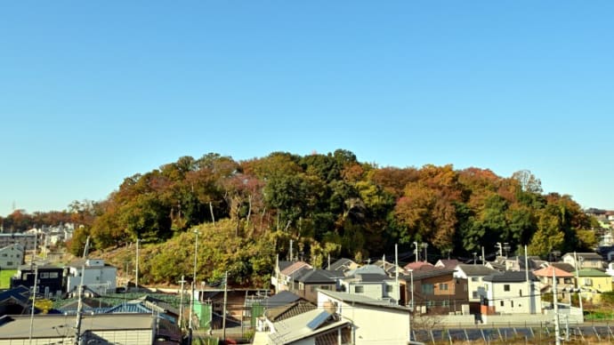 12月02日 朝夕は冷え込みます。