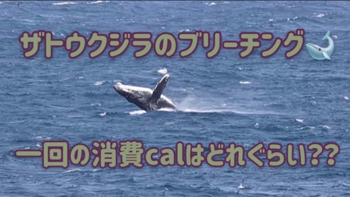 一度のジャンプでの消費カロリーは?