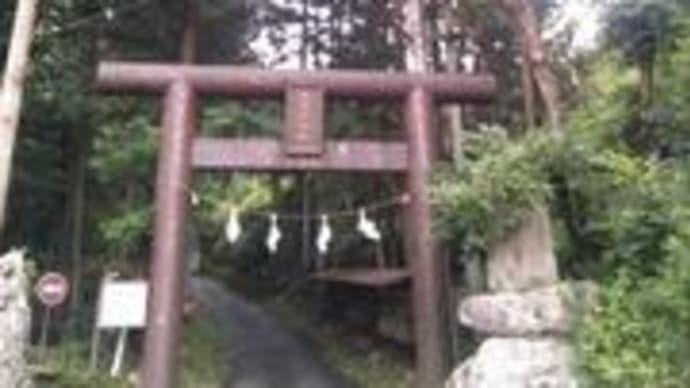 旅:山梨県・軍刀利神社の大桂