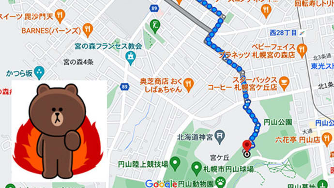 【ヒグマ目撃情報 4/14 06:37 in ほぼ北海道神宮内】