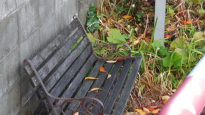なぜそこにベンチ