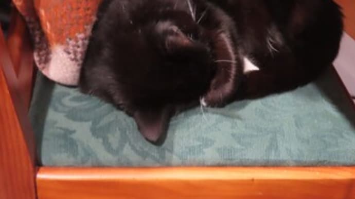 笑いは(お酒も?)百薬の長