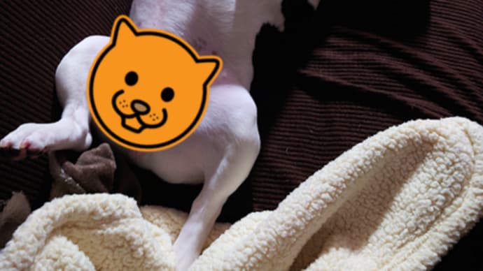 甘えん坊のまるぴぃ&怒りん坊のせんちゃん