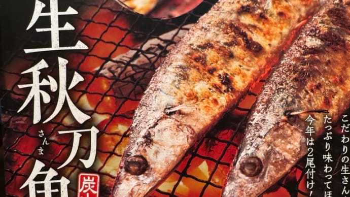 今日4ー2024年10月6日ー③大戸屋でサンマ定食モンー