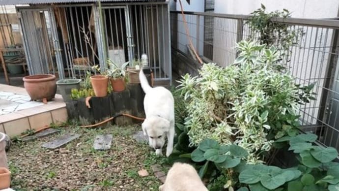 今日は、楽しい一日でした