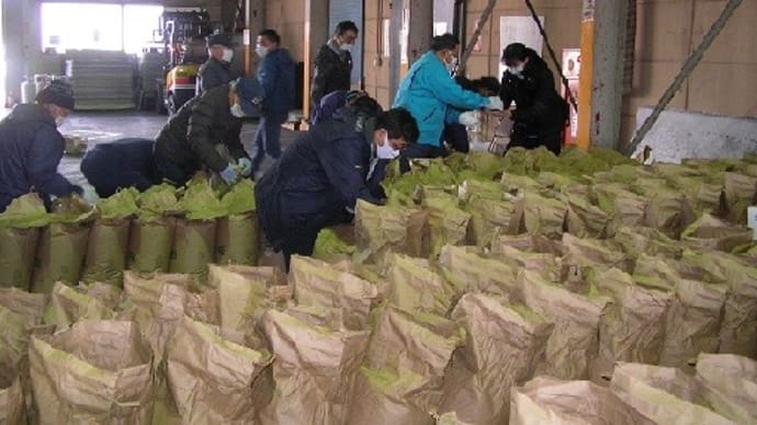 大豆種子生産物審査を行いました