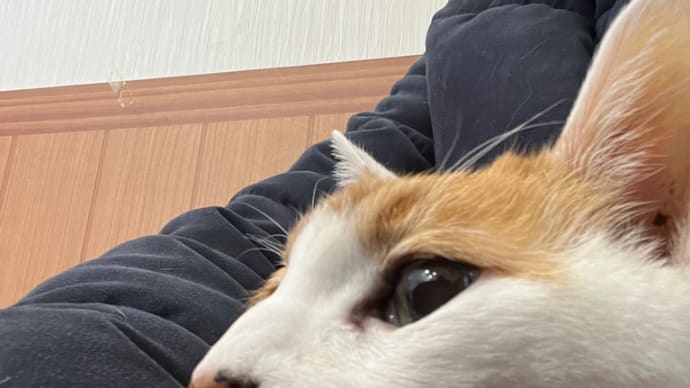 吐血して病院へ