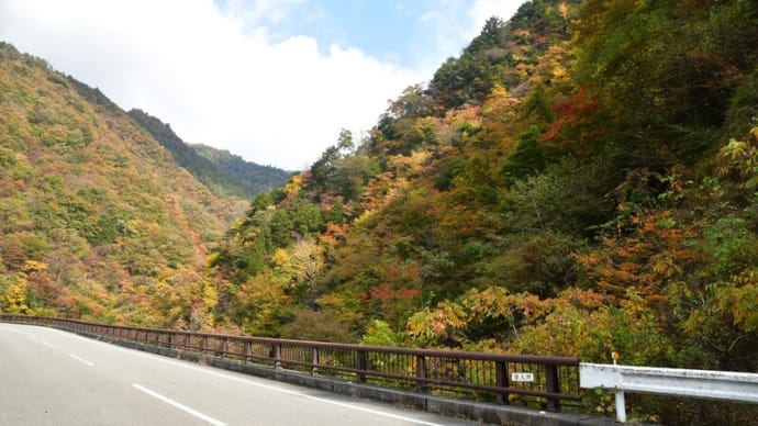 深城ダムの紅葉~大月市①