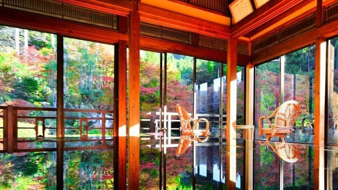 佐賀厳木・芸術環境の森　～植樹４０年　豊かな森に～　その１