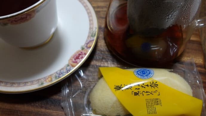 野菜の種蒔き準備