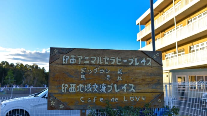 新規開拓!