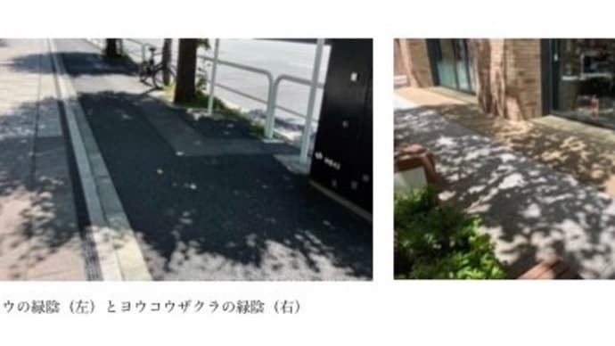 街路樹の資格