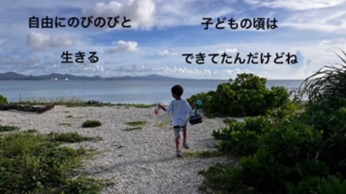 〜マヤ暦 K31 青い猿・青い手・音5〜 引き寄せの法則は、使い方次第
