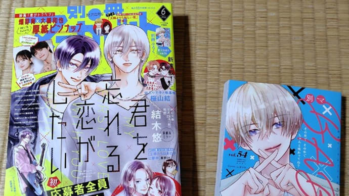 別冊マーガレット 2025 6月号