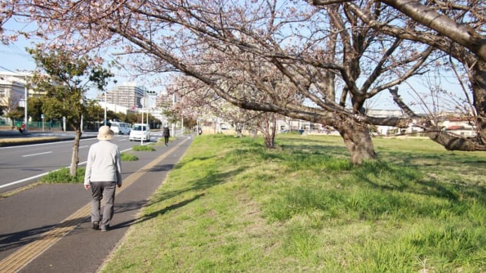 新しいカメラで初撮りです