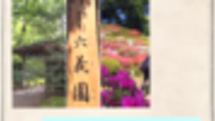 ふらり一人お散歩 ~文化財庭園 六義園~東京